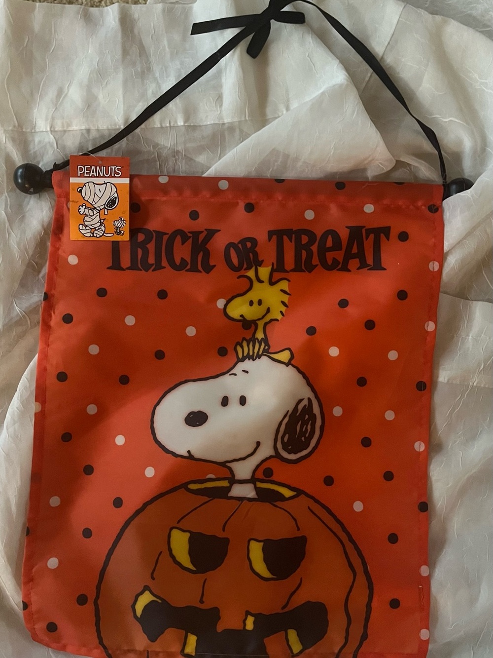 Peanuts Orange Snoopy & Woodstock Halloween Trick or Treat Wall Banner